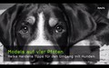 Models auf vier Pfoten - Heike Herdens Tipps f�r den Umgang mit Hunden